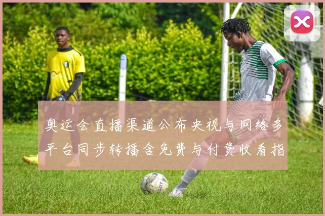 奥运会直播渠道公布央视与网络多平台同步转播含免费与付费收看指南